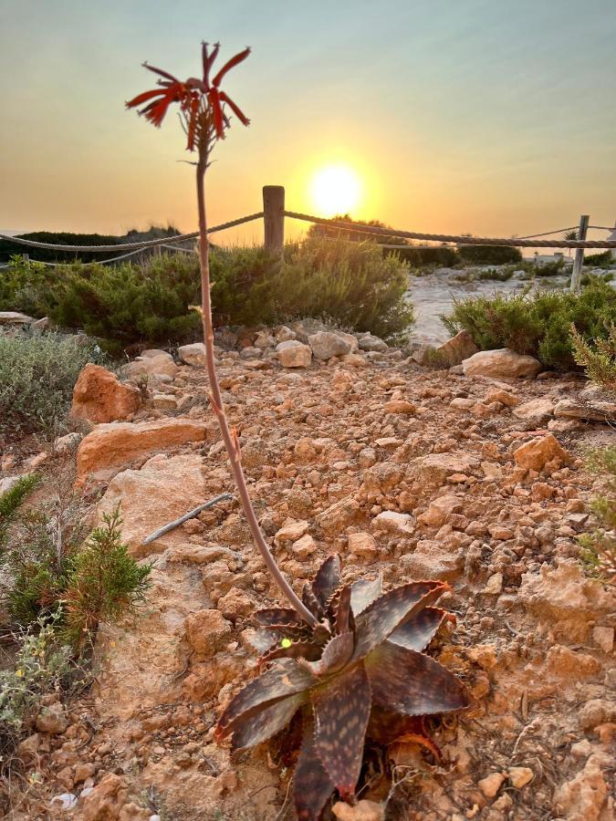 Arenas Del Mar Formentera Villa Es Arenals ภายนอก รูปภาพ